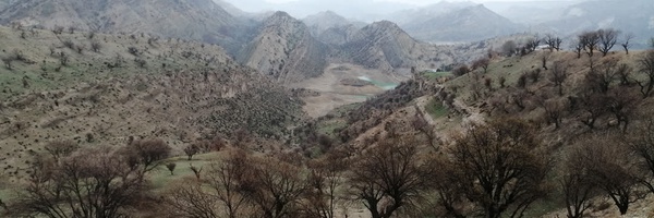 ‌صفورا شیربیگی‌'s header picture