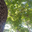 Profile picture of ‌میثاق‌