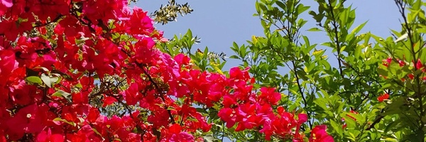 ‌سید هادی میر احمدی‌'s header picture