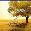 Profile picture of ‌معصومه رشیدی‌