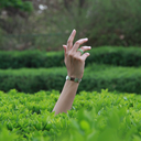 Profile picture of ‌اطلس آبی‌