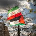 Profile picture of ‌عبدالفتاح‌