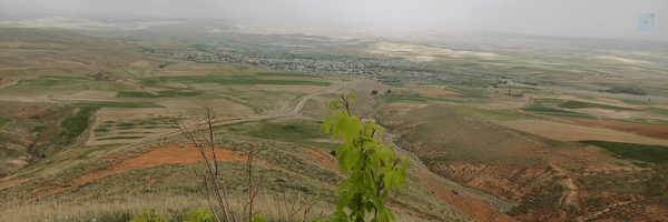 ‌سجاد جوان بخت‌'s header picture