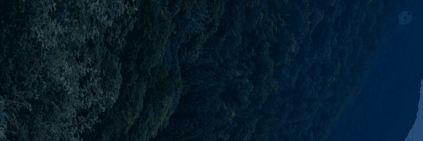 ‌چیشیا‌'s header picture