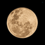 Profile picture of ‌☫𝐒𝐚𝐫𝐚🇱🇧‌