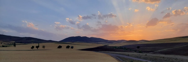 ‌سید علیرضا ابراهیمی‌'s header picture