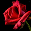 Profile picture of ‌مهدی‌