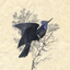 Profile picture of ‌Mamad Mockingjay‌