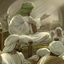 Profile picture of ‌اَلرِّضا .‌