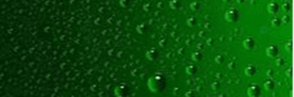 ‌حمید هانی‌'s header picture