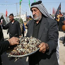 Profile picture of ‌محمدامین خرمافروش‌