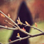 Profile picture of ‌Tana A‌
