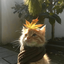 Profile picture of ‌فاطمه علی زاده‌