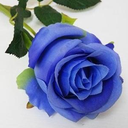 Profile picture of ‌رُز آبی‌