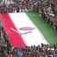 Profile picture of ‌حسن غرایاق زندی‌