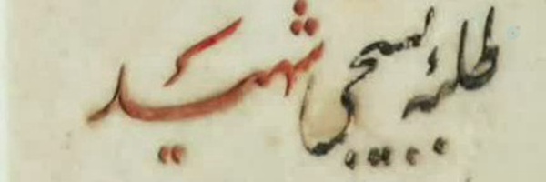 ‌خانم حمیده کامران‌'s header picture