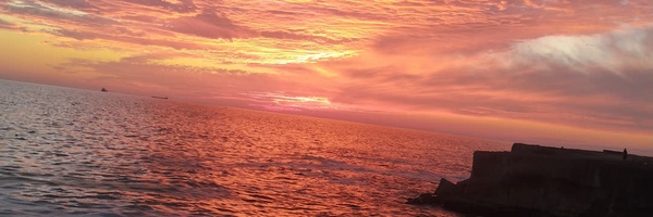 ‌امید نارویی‌'s header picture