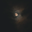 Profile picture of ‌𝒢𝒶𝒻ℯ𝓈𝒾𝓏𝒶𝒹𝒷‌