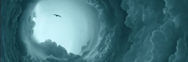 ‌محمد احمدی‌'s header picture