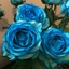 Profile picture of ‌m rezai‌