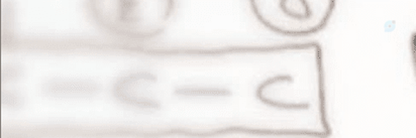‌فرمانده کل سپاه حزب سوسیالیستی‌'s header picture