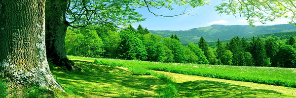 ‌عجایب 💥 دانستنی 💥‌'s header picture