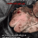 Profile picture of ‌رهگذر تاریخ‌