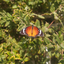 Profile picture of ‌Mahsa‌