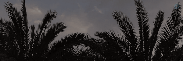 ‌حنیسهٔ‌'s header picture