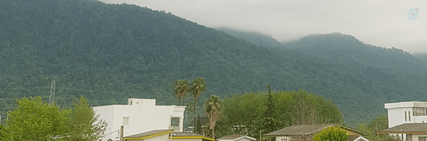 ‌PFVesal‌'s header picture