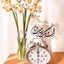 Profile picture of ‌یاس‌