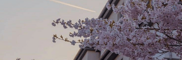 ‌Mohadese ....‌'s header picture
