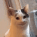 Profile picture of ‌shrek‌