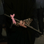 Profile picture of ‌سرکار خانم فاطمه‌