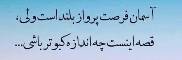 ‌علیرضا حاج ناصری🇵🇸‌'s header picture