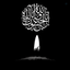 Profile picture of ‌Mohsen‌
