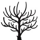 Profile picture of ‌علی شریف‌