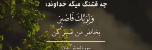 ‌ناجیه 💫💚‌'s header picture