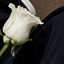Profile picture of ‌شـهــیده³¹³🖤‌