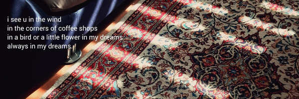 ‌Amir Shariat‌'s header picture