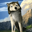 Profile picture of ‌Hadi N‌
