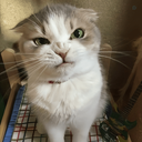 Profile picture of ‌Hana‌