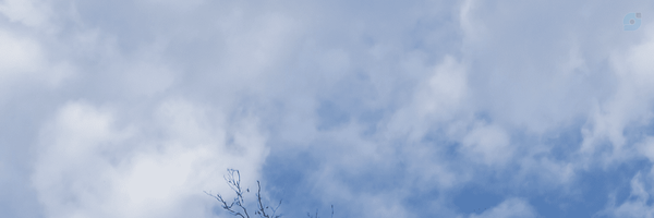 ‌شیرین پارسا‌'s header picture