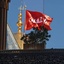 Profile picture of ‌سائل درگاه اهل بیت‌