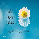 Profile picture of ‌حوریه سادات هدایتی‌