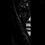 Profile picture of ‌خانم جوان🖤🚩‌
