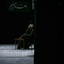 Profile picture of ‌•|اَفگار🇮🇷🖤|•‌