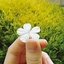 Profile picture of ‌صفورا‌