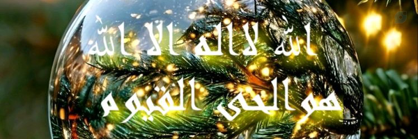 ‌الهه_ ستوده‌'s header picture