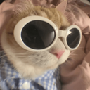 Profile picture of ‌Sh RCh‌